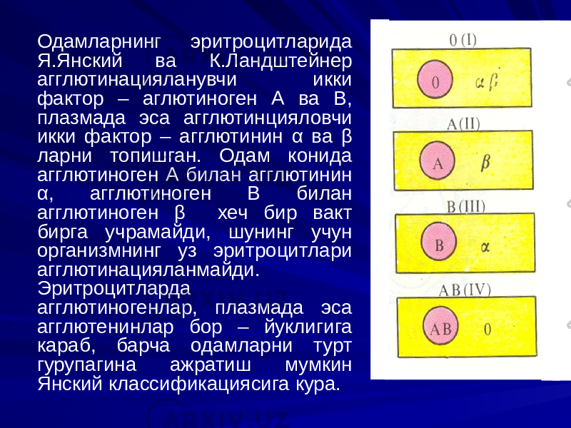 Одамларнинг эритроцитларида Я.Янский ва К.Ландштейнер агглютинацияланувчи икки фактор – аглютиноген А ва В, плазмада эса агглютинцияловчи икки фактор – агглютинин α ва β ларни топишган. Одам конида агглютиноген А билан агглютинин α, агглютиноген В билан агглютиноген β хеч бир вакт бирга учрамайди, шунинг учун организмнинг уз эритроцитлари агглютинацияланмайди. Эритроцитларда агглютиногенлар, плазмада эса агглютенинлар бор – йуклигига караб, барча одамларни турт гурупагина ажратиш мумкин Янский классификациясига кура. 