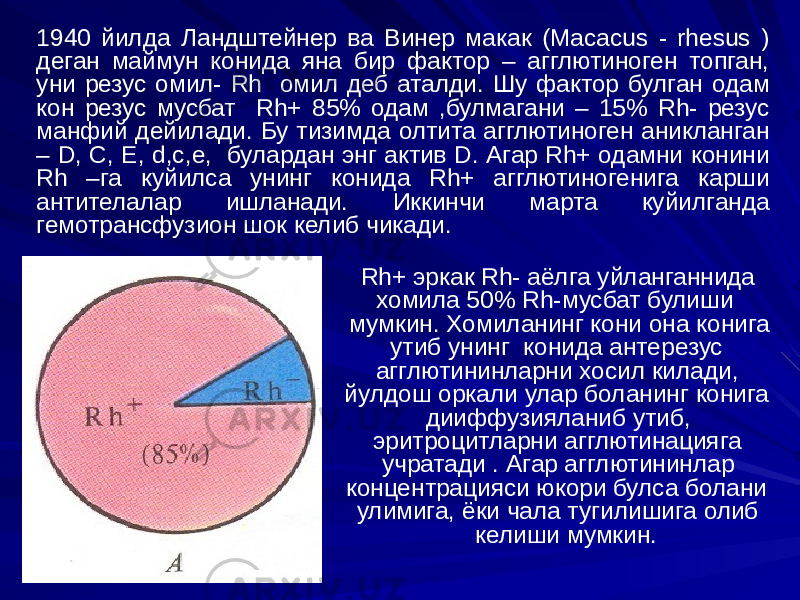 1940 йилда Ландштейнер ва Винер макак (Масасus - rhesus ) деган маймун конида яна бир фактор – агглютиноген топган, уни резус омил- Rh омил деб аталди. Шу фактор булган одам кон резус мусбат Rh+ 85% одам ,булмагани – 15% Rh- резус манфий дейилади. Бу тизимда олтита агглютиноген аникланган – D, C, E, d,c,e, булардан энг актив D. Агар Rh+ одамни конини Rh –га куйилса унинг конида Rh+ агглютиногенига карши антителалар ишланади. Иккинчи марта куйилганда гемотрансфузион шок келиб чикади. Rh+ эркак Rh- аёлга уйланганнида хомила 50% Rh-мусбат булиши мумкин. Хомиланинг кони она конига утиб унинг конида антерезус агглютининларни хосил килади, йулдош оркали улар боланинг конига дииффузияланиб утиб, эритроцитларни агглютинацияга учратади . Агар агглютининлар концентрацияси юкори булса болани улимига, ёки чала тугилишига олиб келиши мумкин. 