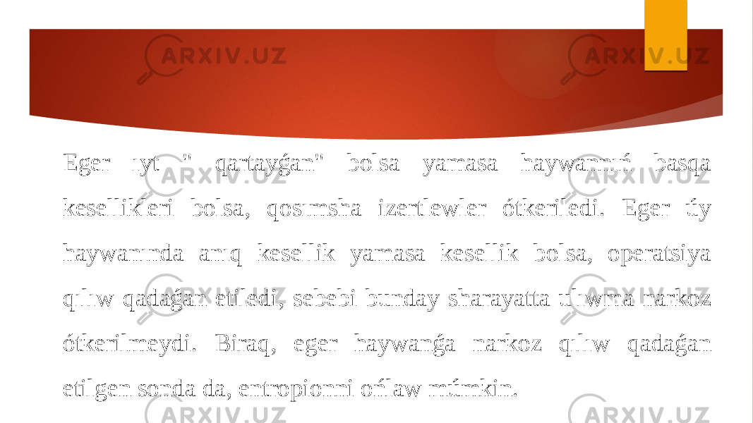 Eger ıyt &#34; qartayǵan&#34; bolsa yamasa haywannıń basqa kesellikleri bolsa, qosımsha izertlewler ótkeriledi. Eger úy haywanında anıq kesellik yamasa kesellik bolsa, operatsiya qılıw qadaǵan etiledi, sebebi bunday sharayatta ulıwma narkoz ótkerilmeydi. Biraq, eger haywanǵa narkoz qılıw qadaǵan etilgen sonda da, entropionni ońlaw múmkin. 