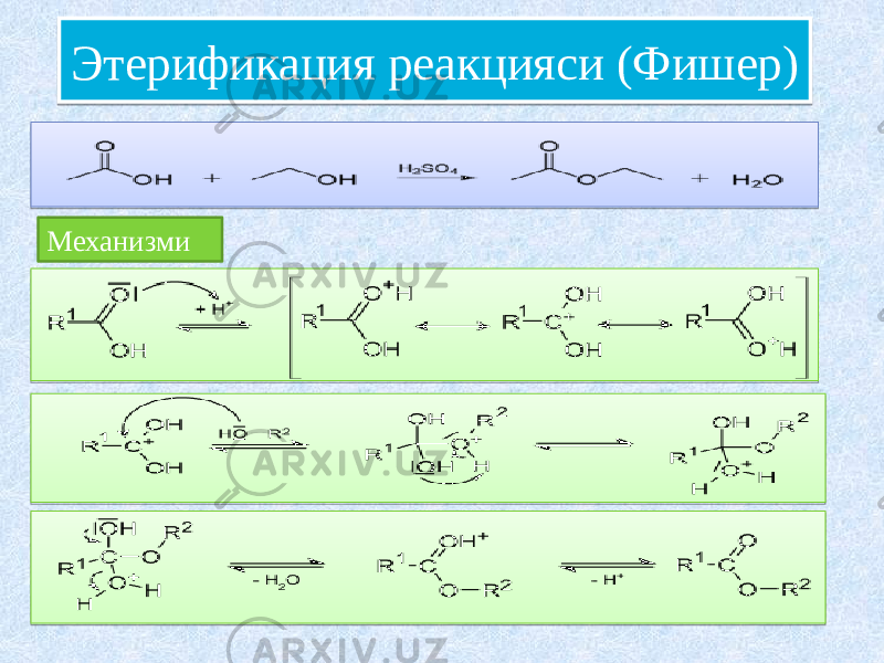 Этерификация реакцияси (Фишер) Механизми1D0B18 