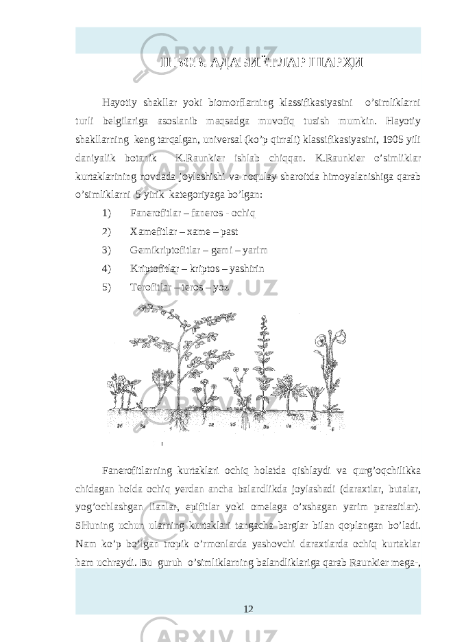 II BOB. АДАБИЁТЛАР ШАРҲИ Hayotiy shakllar yoki biomorflarning klassifikasiyasini o’simliklarni turli belgilariga asoslanib maqsadga muvofiq tuzish mumkin. Hayotiy shakllarning keng tarqalgan, universal (ko’p qirrali) klassifikasiyasini, 1905 yili daniyalik botanik K.Raunkier ishlab chiqqan. K.Raunkier o’simliklar kurtaklarining novdada joylashishi va noqulay sharoitda himoyalanishiga qarab o’simliklarni 5 yirik kategoriyaga bo’lgan: 1) Fanerofitlar – faneros - ochiq 2) Xamefitlar – xame – past 3) Gemikriptofitlar – gemi – yarim 4) Kriptofitlar – kriptos – yashirin 5) Terofitlar – teros – yoz Fanerofitlarning kurtaklari ochiq holatda qishlaydi va qurg’oqchilikka chidagan holda ochiq yerdan ancha balandlikda joylashadi (daraxtlar, butalar, yog’ochlashgan lianlar, epifitlar yoki omelaga o’xshagan yarim parazitlar). SHuning uchun ularning kurtaklari tangacha barglar bilan qoplangan bo’ladi. Nam ko’p bo’lgan tropik o’rmonlarda yashovchi daraxtlarda ochiq kurtaklar ham uchraydi. Bu guruh o’simliklarning balandliklariga qarab Raunkier mega-, 12 