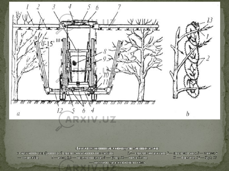 Дарахт шохларини шакллантирувчи машина схемаси: а - агрегатнинг олд кўриниши; б- қирқиш аппаратининг иш жараёни; 1,7— қирқиш аппаратлари; 2 — дисксимон арра; 3 — хартум; 4 — кронштейн; 5 — рама; 6, 9 — гидросилиндрлар; 8 — тўсиқ; 10 — тиргак болти; 11 — фиксатор; 12 — брус; 13 — арраларни ҳаракатлантиаивчи тасма . 