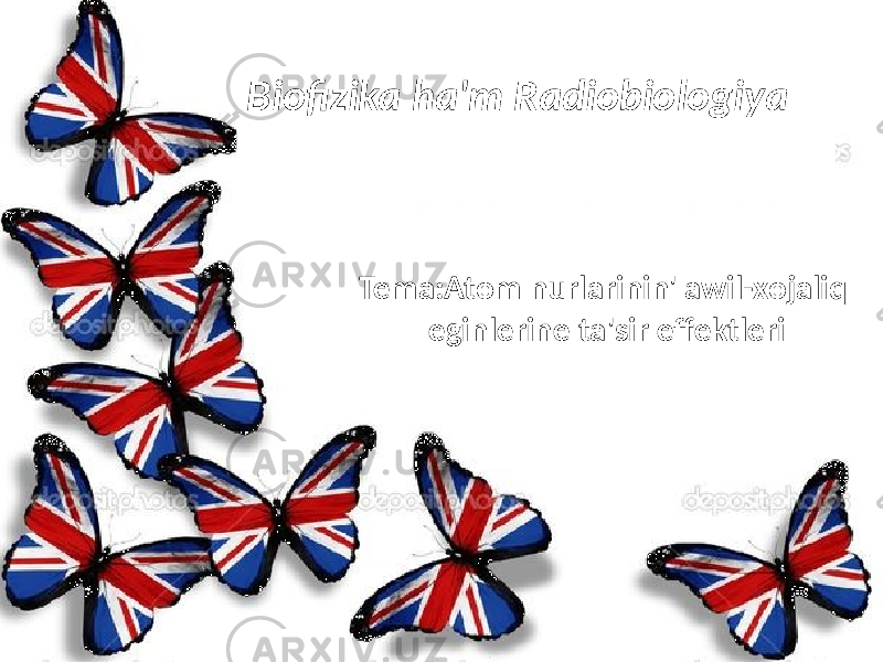 Biofizika ha&#39;m Radiobiologiya Tema:Atom nurlarinin&#39; awil-xojaliq eginlerine ta&#39;sir effektleri 