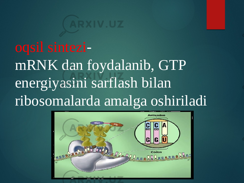 oqsil sintezi - mRNK dan foydalanib, GTP energiyasini sarflash bilan ribosomalarda amalga oshiriladi 