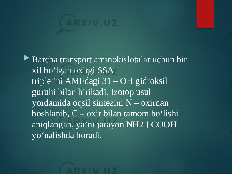  Barcha transport aminokislotalar uchun bir xil bo‘lgan oxirgi SSA tripletini AMFdagi 31 – OH gidroksil guruhi bilan birikadi. Izotop usul yordamida oqsil sintezini N – oxirdan boshlanib, C – oxir bilan tamom bo‘lishi aniqlangan, ya’ni jarayon NH2 ! COOH yo‘nalishda boradi. 