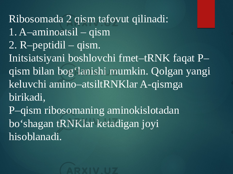 Ribosomada 2 qism tafovut qilinadi: 1. A–aminoatsil – qism 2. R–peptidil – qism. Initsiatsiyani boshlovchi fmet–tRNK faqat P– qism bilan bog‘lanishi mumkin. Qolgan yangi keluvchi amino–atsiltRNKlar A-qismga birikadi, P–qism ribosomaning aminokislotadan bo‘shagan tRNKlar ketadigan joyi hisoblanadi. 