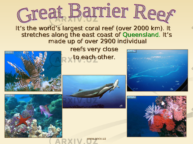 It’s the world’s largest coral reef (over 2000 km). It It’s the world’s largest coral reef (over 2000 km). It stretches along the east coast of stretches along the east coast of Queensland.Queensland. It’s It’s made up of over 2900 individual made up of over 2900 individual reefs very close reefs very close to each otherto each other .. www.arxiv.uz 