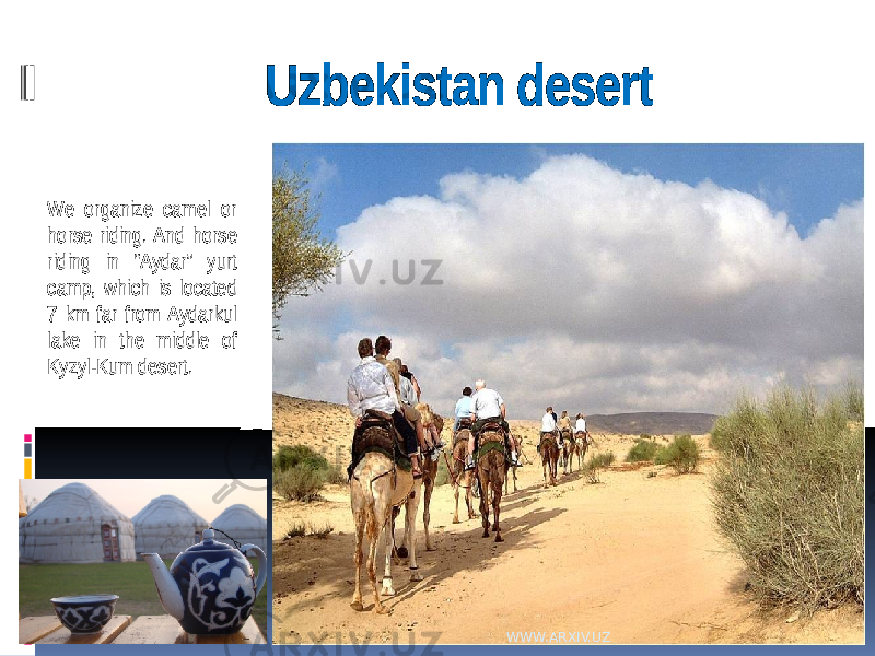 Uzbekistan desert We organize camel or horse riding. And horse riding in “Aydar” yurt camp, which is located 7 km far from Aydarkul lake in the middle of Kyzyl-Kum desert. WWW.ARXIV.UZ 