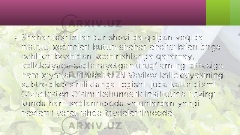 • Shahar fashistlar qur shovi da qolgan vaqtda institut xodimlari butun shahar aholisi bilan birga ochlikni boshidan kechirishlariga qaramay, kolleksiyada saqlanayotgan urug‘larning bittasiga ham xiyonat qilmadilar. N.Vavilov kolleksiyasining subtropik o‘simliklariga tegishli juda katta qismi O‘zbekiston O‘simlikshunoslik institutida hozirgi kunda ham saqlanmoqda va unlardan yangi navlarni yarat ishda foydalanilmoqda. 