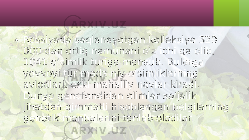 • Rossiyada saqlanayotgan kolleksiya 320 000 dan ortiq namunani o‘z ichi ga olib, 1041 o‘simlik turiga mansub. Bularga yovvoyi tur mada niy o‘simliklarning avlodlari, eski mahalliy navlar kiradi. Dunyo genofondidan olimlar xo‘jalik jihatdan qimmatli hisoblangan belgilarning genetik manbalarini tanlab oladilar. 