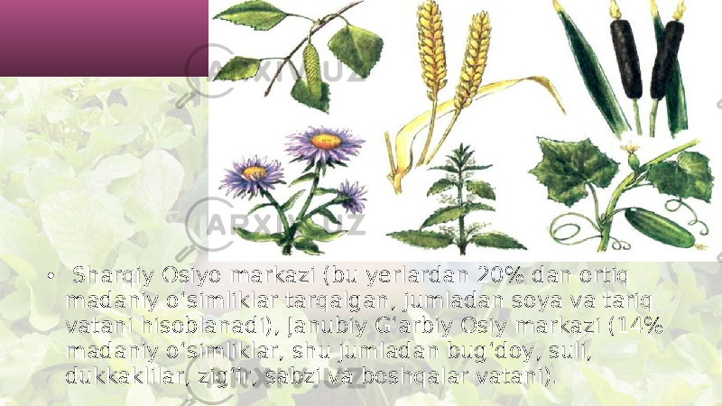 • Sharqiy Osiyo markazi (bu yerlardan 20% dan ortiq madaniy o‘simliklar tarqalgan, jumladan soya va tariq vatani hisoblanadi), Janubiy G‘arbiy Osiy markazi (14% madaniy o‘simliklar, shu jumladan bug‘doy, suli, dukkaklilar, zig‘ir, sabzi va boshqalar vatani). 