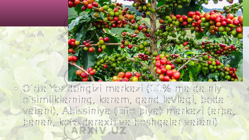 • O‘rta Yer dengizi markazi (11% ma da niy o‘simliklarning, karam, qand lavlagi, beda vatani), Abissiniya (Efio piya) markazi (arpa, banan, kofe daraxti va boshqalar vatani) 