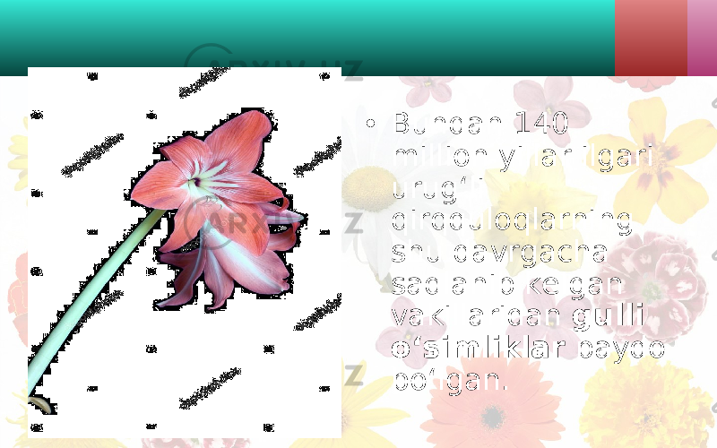 • Bundan 140 million yillar ilgari urug‘li qirqquloqlarning shu davrgacha saqlanib kelgan vakillaridan gulli o‘simliklar paydo bo‘lgan. 