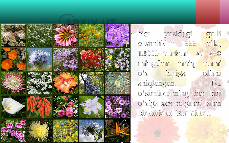 • Yer yuzidagi gulli o‘simliklar 533 oila, 13000 turkum va 250 mingdan ortiq turni o‘z ichiga olishi aniqlangan. Bu o‘simliklarning har biri o‘ziga xos belgilari bilan bir-biridan farq qiladi. 