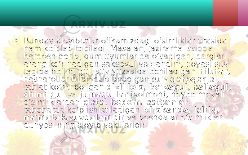 • Bunday ajoyibotlar o‘lkamizdagi o‘simliklar orasida ham ko‘plab topiladi. Masalan, jazirama issiqqa bardosh berib, qum uyumlarida o‘sadigan, barglari arang ko‘rinadigan saksovul va qandim, poyasi suv tagida bo‘lib, guli suv yuzasida ochiladigan nilufar , hasharotlar bilan oziqlanadigan suv qaroqchisi , tabiat ko‘rki bo‘lgan qizil lola, ko‘zagul, sallagul, chinnigul va jumagullar (xolmon), noyob mevali o‘simliklardan pista, bodom, safsanlar , tabobatda ko‘p ishlatiladigan chakanda, isiriq, na’matak,suvqalampir va boshqalar o‘simliklar dunyosi ning ajoyib vakillaridir. 