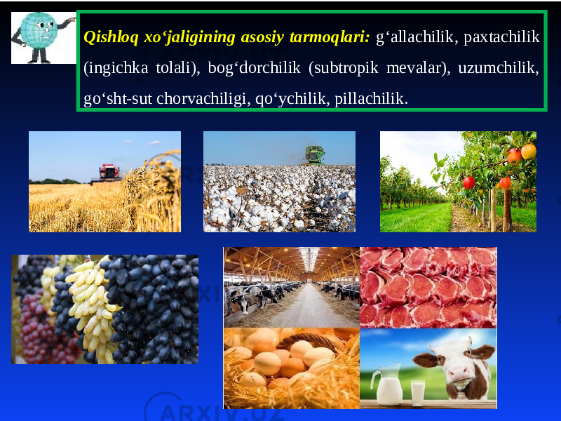 Qishloq xo‘jaligining asosiy tarmoqlari: g‘allachilik, paxtachilik (ingichka tolali), bog‘dorchilik (subtropik mevalar), uzumchilik, go‘sht-sut chorvachiligi, qo‘ychilik, pillachilik. 