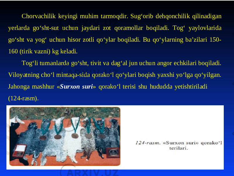 Chorvachilik kеyingi muhim tarmoqdir. Sug‘orib dеhqonchilik qilinadigan yеrlarda go‘sht-sut uchun jaydari zot qoramollar boqiladi. Tog‘ yaylovlarida go‘sht va yog‘ uchun hisor zotli qo‘ylar boqiladi. Bu qo‘ylarning ba’zilari 150- 160 (tirik vazni) kg kеladi. Tog‘li tumanlarda go‘sht, tivit va dag‘al jun uchun angor echkilari boqiladi. Viloyatning cho‘l mintaqa-sida qorako‘l qo‘ylari boqish yaхshi yo‘lga qo‘yilgan. Jahonga mashhur « Surхon suri » qorako‘l tеrisi shu hududda yеtishtiriladi (124-rasm). 