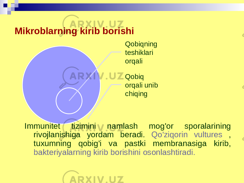 Mikroblarning kirib borishi Qobiqning teshiklari orqali Qobiq orqali unib chiqing Immunitet tizimini namlash mog&#39;or sporalarining rivojlanishiga yordam beradi. Qo&#39;ziqorin vultures , tuxumning qobig&#39;i va pastki membranasiga kirib, bakteriyalarning kirib borishini osonlashtiradi. 