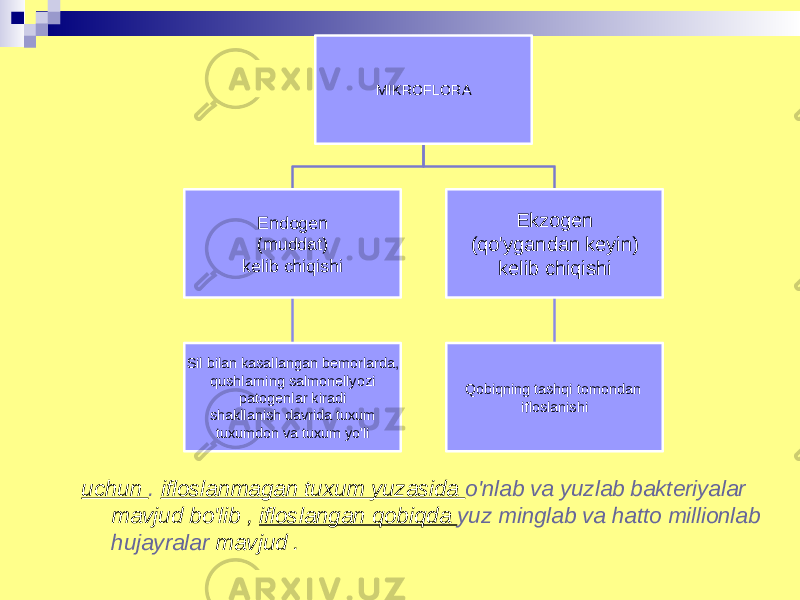 MIKROFLORA Endogen (muddat) kelib chiqishi Sil bilan kasallangan bemorlarda, qushlarning salmonellyozi patogenlar kiradi shakllanish davrida tuxum tuxumdon va tuxum yo&#39;li Ekzogen (qo&#39;ygandan keyin) kelib chiqishi Qobiqning tashqi tomondan ifloslanishi uchun . ifloslanmagan tuxum yuzasida o&#39;nlab va yuzlab bakteriyalar mavjud bo&#39;lib , ifloslangan qobiqda yuz minglab va hatto millionlab hujayralar mavjud . 