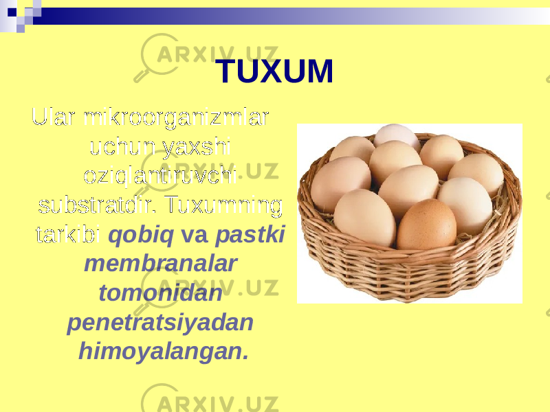 TUXUM Ular mikroorganizmlar uchun yaxshi oziqlantiruvchi substratdir. Tuxumning tarkibi qobiq va pastki membranalar tomonidan penetratsiyadan himoyalangan. 