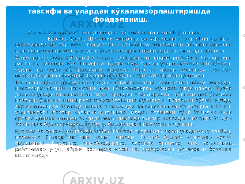  Д е л ь ф и н и у м - айиқтовондошлар оиласига мансуб ўсимлик, Европа, Осиё, Шимолий Америка ва Африканинг жанубий ва ўрта қисмларида бу тур кенг тарқалган. Гулчиликда экиладиган дельфиниумнинг шакллари ёввойи ҳолда ўсувчи ўсимликларни гибридлаш натижасида олинган. Ўсимликнинг бўйи 0,8 дан 1,5 м гача гулбаргининг диаметри 2-3 см. Гулларнинг ранги оқ, зангори, кўк, бинафша. Кўпгина бу туслар ўзаро уйғунлашгн бўлади. Оддий ва серяпроқ шакллари мавжуд. Июл ва айрим ҳолларда сентябр ойларида қайта гуллайди. Гуллаб бўлгандан сўнг манзараси йўқолади. Тупларни бўлиш орқали ва уруғдан кўпайтирилади. Уруғ апрел ойида экилади, ниҳоллари салқин иссиқхона ёки кўчатзорларга кўчириб ўтқазилади. Кузда доимий ўсадиган жойига экилади. Уруғдан етиштирилган кўпгина она ўсимлик навлари ўзининг манзарали хусусиятларини йўқотади. Тупларни бўлиш кузда, айрим ҳолларда баҳорда амалга оширилади. Иссиқхона ёки кўчатзорга 6-10 см. узунликдаги поялар қаламча қилинади. Илдиз отгандан сўнг ўсимлик очиқ ердаги доимий жойига экилади.экиш пайтида туплар орасидаги масофа 30 дан 40 см гача бўлиши керак. Ўсимлик бир жойда 4 йил ўсиши мумкин. Қуёшли ва сояроқ жойларда, ишланган боғ тупроғида яхши ўсади ва гуллайди, намликка ўртача ва кам талаб қилади. Гуллаб бўлган кўчатлар кесиб ташланади. Гуруҳлар, миксбордерлар, алоҳида экинлар, бир томонлама рабаткалар учун, айрим ҳолларда кесишга, деворларни манзарали безашга ишлатилади. Кўп йиллик гулли ўсимликларнинг қисқача тавсифи ва улардан кўкаламзорлаштиришда фойдаланиш. 