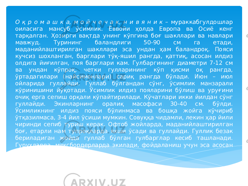 О қ р о м а ш к а, м о й ч е ч а к, н и в я н и к – мураккабгулдошлар оиласига мансуб ўсимлик. Ёввойи ҳолда Европа ва Осиё кенг тарқалган. Ҳозирги вақтда унинг кўпгина боғ шакллари ва навлари мавжуд. Турининг баландлиги 50-90 см га етади, маданийлаштирилган шакллари эса ундан ҳам баландроқ. Пояси кучсиз шохланган, барглари тўқ-яшил рангда, қаттиқ, асосан илдиз олдига йиғилган, поя барглари кам. Гулбаргининг диаметри 7-12 см ва ундан кўпроқ, четки гулларининг кўп қисми оқ рангда, ўртадагилари (найсимонлари) сариқ рангда бўлади. Июн – июл ойларида гуллайди. Гуллаб бўлгандан сўнг, ўсимлик манзарали кўринишини йўқотади. Ўсимлик илдиз пояларини бўлиш ва уруғини очиқ ерга сепиш орқали кўпайтирилади. Кўчатлари икки йилдан сўнг гуллайди. Экинларнинг оралиқ масофаси 30-40 см. бўлди. Ўсимликнинг илдиз пояси бўлинмаса ва бошқа жойга кўчириб ўтқазилмаса, 3-4 йил ўсиши мумкин. Совуққа чидамли, лекин ҳар йили чиринди сепиб туриш керак. Офтоб жойларда, маданийлаштирилган боғ, етарли нам тупроқларда яхши ўсади ва гуллайди. Гуллик безак бериладиган жойда гуллаб бўлган гулбарглар кесиб ташланади. Гуруҳларда, миксбордерларда экилади, фойдаланиш учун эса асосан гулшохлари кесилади. 