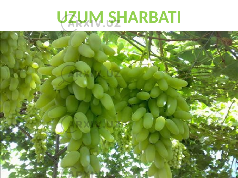 UZUM SHARBATI 
