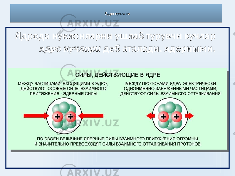 Ядро кучлари Ядрода нуклонларни ушлаб турувчи кучлар ядро кучлари деб аталади. ядерными.07 06 