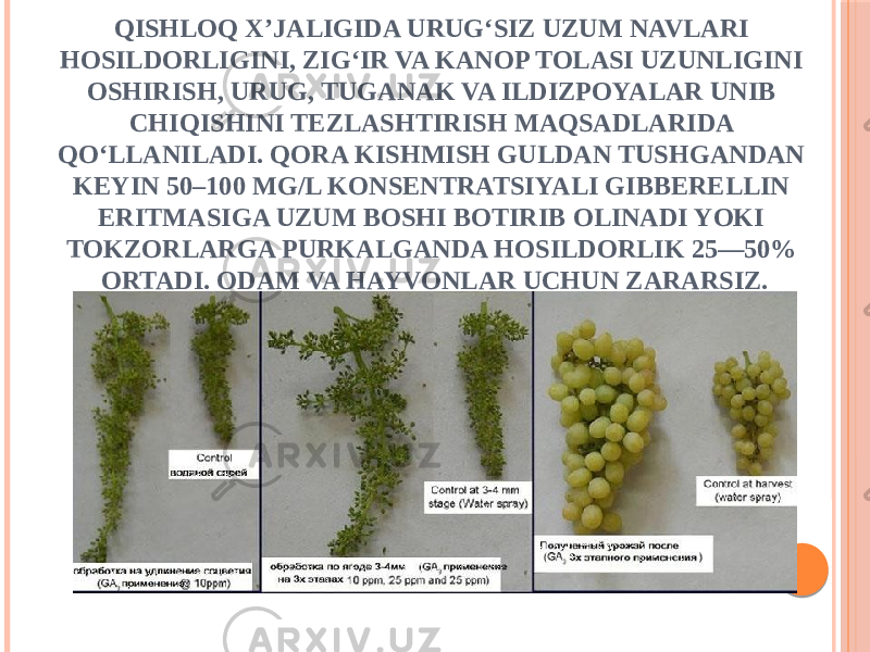 QISHLOQ X’JALIGIDA URUGʻSIZ UZUM NAVLARI HOSILDORLIGINI, ZIGʻIR VA KANOP TOLASI UZUNLIGINI OSHIRISH, URUG, TUGANAK VA ILDIZPOYALAR UNIB CHIQISHINI TEZLASHTIRISH MAQSADLARIDA QOʻLLANILADI. QORA KISHMISH GULDAN TUSHGANDAN KEYIN 50–100 MG/L KONSENTRATSIYALI GIBBERELLIN ERITMASIGA UZUM BOSHI BOTIRIB OLINADI YOKI TOKZORLARGA PURKALGANDA HOSILDORLIK 25—50% ORTADI. ODAM VA HAYVONLAR UCHUN ZARARSIZ. 