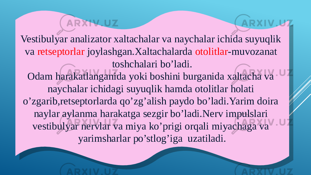 Vestibulyar analizator xaltachalar va naychalar ichida suyuqlik va retseptorlar joylashgan.Xaltachalarda otolitlar -muvozanat toshchalari bo’ladi. Odam harakatlanganida yoki boshini burganida xaltacha va naychalar ichidagi suyuqlik hamda otolitlar holati o’zgarib,retseptorlarda qo’zg’alish paydo bo’ladi.Yarim doira naylar aylanma harakatga sezgir bo’ladi.Nerv impulslari vestibulyar nervlar va miya ko’prigi orqali miyachaga va yarimsharlar po’stlog’iga uzatiladi.39 04 0A 3005 05 21 0905 1D 08 051606 08 04 14 