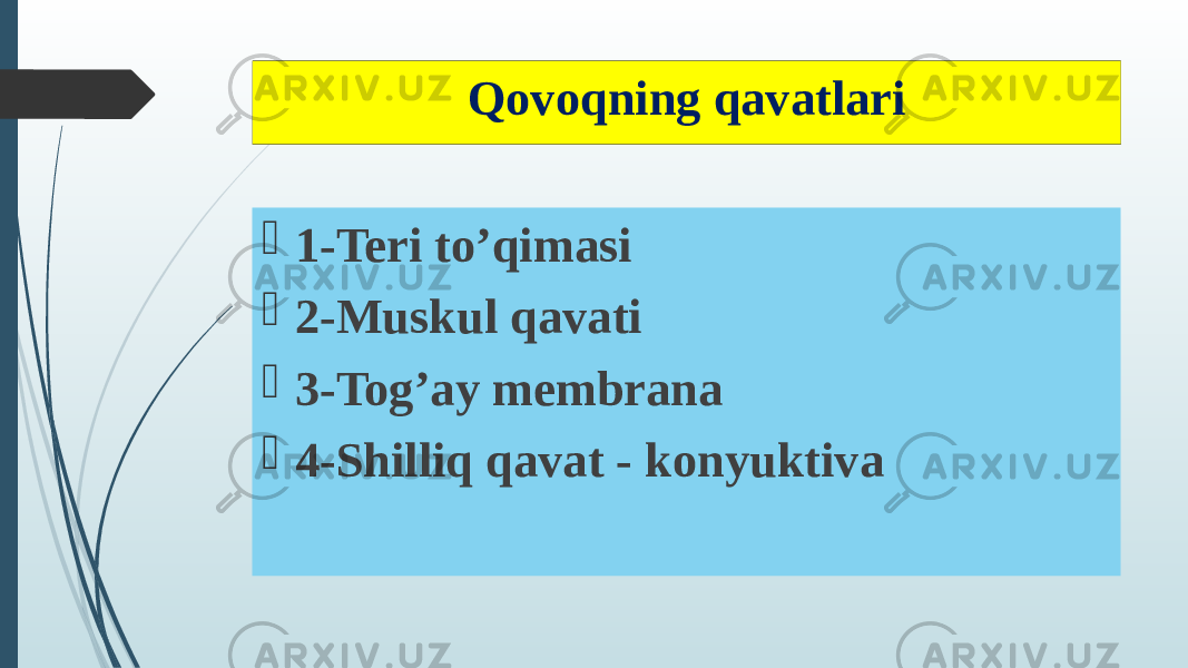 Qovoqning qavatlari  1-Teri to’qimasi  2-Muskul qavati  3-Tog’ay membrana  4-Shilliq qavat - konyuktiva 