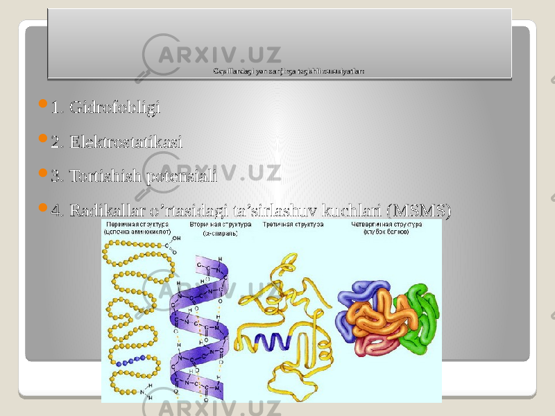 Oqsillardagi yon zanjirga tegishli xususiyatlar:  1. Gidrofobligi  2. Elektrostatikasi  3. Tortishish potensiali  4. Radikallar o’rtasidagi ta’sirlashuv kuchlari (MSMS) 03 