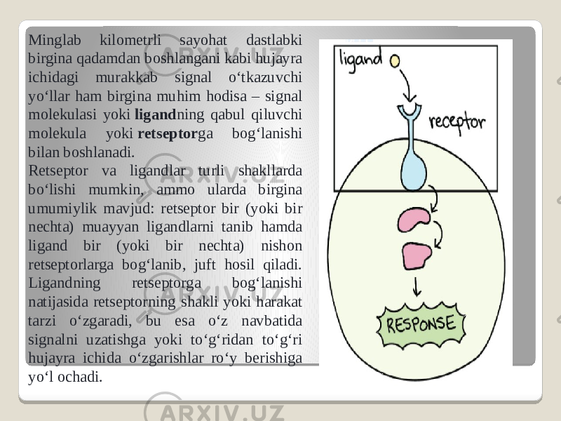 Minglab kilometrli sayohat dastlabki birgina qadamdan boshlangani kabi hujayra ichidagi murakkab signal oʻtkazuvchi yoʻllar ham birgina muhim hodisa – signal molekulasi yoki  ligand ning qabul qiluvchi molekula yoki  retseptor ga bogʻlanishi bilan boshlanadi. Retseptor va ligandlar turli shakllarda boʻlishi mumkin, ammo ularda birgina umumiylik mavjud: retseptor bir (yoki bir nechta) muayyan ligandlarni tanib hamda ligand bir (yoki bir nechta) nishon retseptorlarga bogʻlanib, juft hosil qiladi. Ligandning retseptorga bogʻlanishi natijasida retseptorning shakli yoki harakat tarzi oʻzgaradi, bu esa oʻz navbatida signalni uzatishga yoki toʻgʻridan toʻgʻri hujayra ichida oʻzgarishlar roʻy berishiga yoʻl ochadi. 