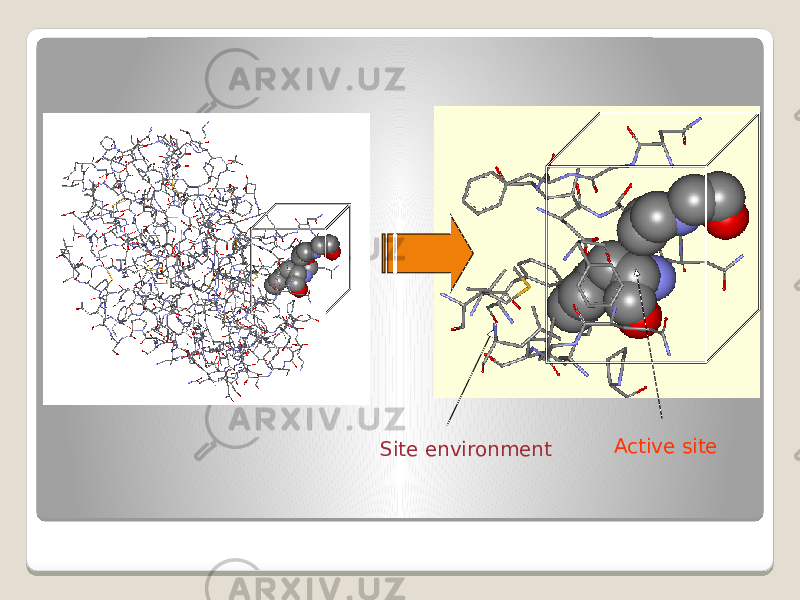 Active site Site environment 