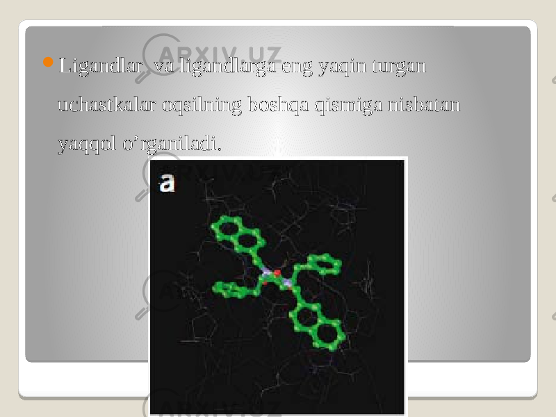  Ligandlar va ligandlarga eng yaqin turgan uchastkalar oqsilning boshqa qismiga nisbatan yaqqol o’rganiladi. 