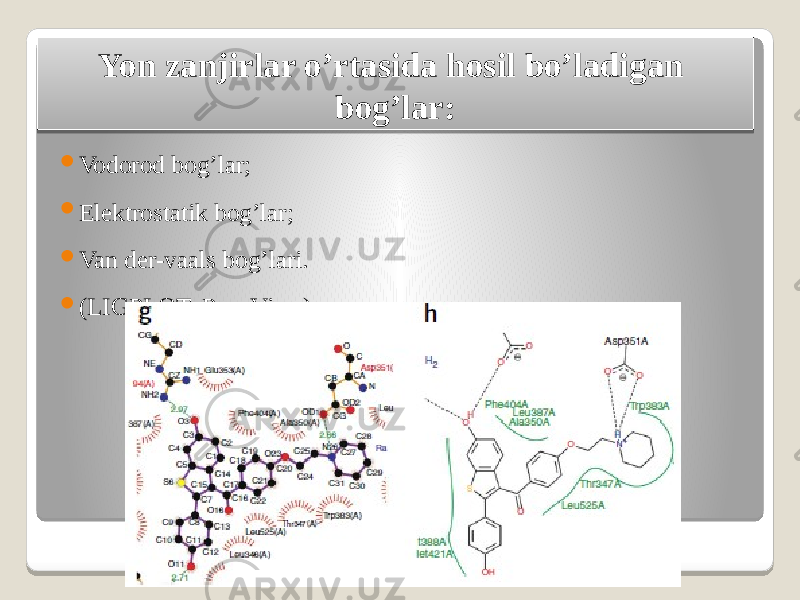 Yon zanjirlar o’rtasida hosil bo’ladigan bog’lar:  Vodorod bog’lar;  Elektrostatik bog’lar;  Van der-vaals bog’lari.  (LIGPLOT, PoseView) 12 2E20 