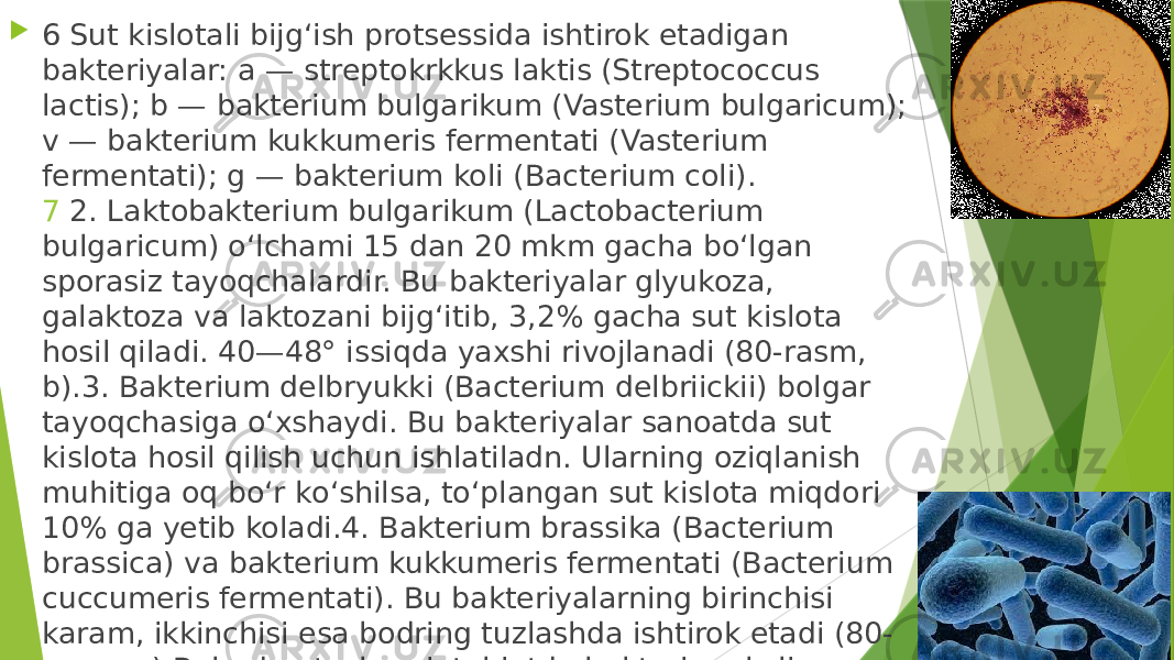  6  Sut kislotali bijg‘ish protsessida ishtirok etadigan bakteriyalar: a — streptokrkkus laktis (Streptococcus lactis); b — bakterium bulgarikum (Vasterium bulgaricum); v — bakterium kukkumeris fermentati (Vasterium fermentati); g — bakterium koli (Bacterium coli). 7  2. Laktobakterium bulgarikum (Lactobacterium bulgaricum) о‘lchami 15 dan 20 mkm gacha bо‘lgan sporasiz tayoqchalardir. Bu bakteriyalar glyukoza, galaktoza va laktozani bijg‘itib, 3,2% gacha sut kislota hosil qiladi. 40—48° issiqda yaxshi rivojlanadi (80-rasm, b).3. Bakterium delbryukki (Bacterium delbriickii) bolgar tayoqchasiga о‘xshaydi. Bu bakteriyalar sanoatda sut kislota hosil qilish uchun ishlatiladn. Ularning oziqlanish muhitiga oq bо‘r kо‘shilsa, tо‘plangan sut kislota miqdori 10% ga yetib koladi.4. Bakterium brassika (Bacterium brassica) va bakterium kukkumeris fermentati (Bacterium cuccumeris fermentati). Bu bakteriyalarning birinchisi karam, ikkinchisi esa bodring tuzlashda ishtirok etadi (80- rasm, v).Bulardan tashqari, tabiatda bakterium koli (Vasterium coli) nomli bakteriyalar ham keng tarqalgan bо‘lib, ular odam va hayvonlar ichagida yashaydi (80- rasm, g). Bu bakteriyalar ishtirokida shakar bijgiganda sut kislotadan tashqari, sirka kislota, SO2 va vodorod hosil bо‘ladi. 