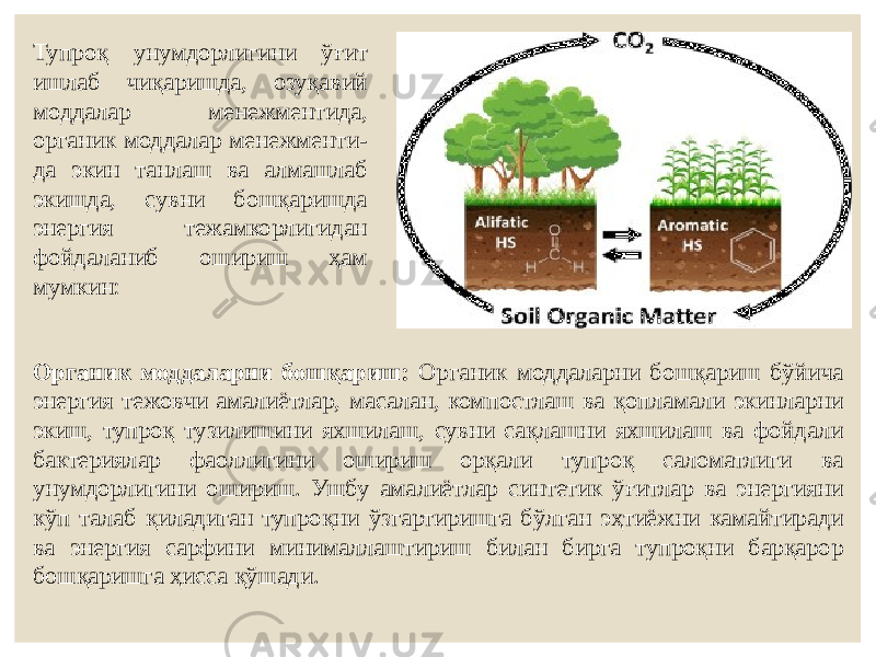 Тупроқ унумдорлигини ўғит ишлаб чиқаришда, озуқавий моддалар менежментида, органик моддалар менежменти- да экин танлаш ва алмашлаб экишда, сувни бошқаришда энергия тежамкорлигидан фойдаланиб ошириш ҳам мумкин: Органик моддаларни бошқариш: Органик моддаларни бошқариш бўйича энергия тежовчи амалиётлар, масалан, компостлаш ва қопламали экинларни экиш, тупроқ тузилишини яхшилаш, сувни сақлашни яхшилаш ва фойдали бактериялар фаоллигини ошириш орқали тупроқ саломатлиги ва унумдорлигини ошириш. Ушбу амалиётлар синтетик ўғитлар ва энергияни кўп талаб қиладиган тупроқни ўзгартиришга бўлган эҳтиёжни камайтиради ва энергия сарфини минималлаштириш билан бирга тупроқни барқарор бошқаришга ҳисса қўшади. 