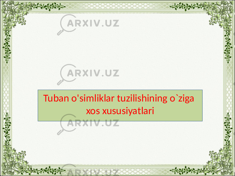 Tuban o&#39;simliklar tuzilishining o`ziga xos xususiyatlari 