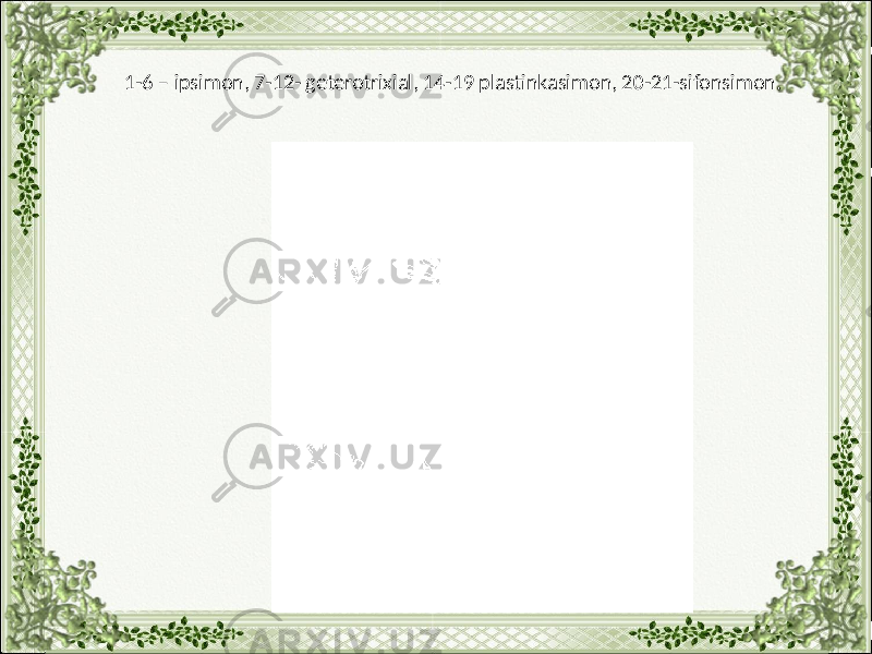 1-6 – ipsimon, 7-12- geterotrixial, 14-19 plastinkasimon, 20-21-sifonsimon. 