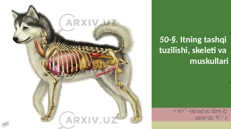 50-§. Itning tashqi tuzilishi, skeleti va muskullari 7-sinf zoologiya darsligi asosida. 2017. 