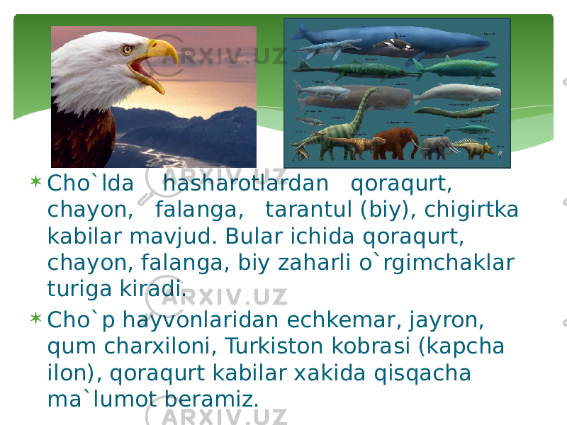  Cho`lda hasharotlardan qoraqurt, chayon, falanga, tarantul (biy), chigirtka kabilar mavjud. Bular ichida qoraqurt, chayon, falanga, biy zaharli o`rgimchaklar turiga kiradi.  Cho`p hayvonlaridan echkemar, jayron, qum charxiloni, Turkiston kobrasi (kapcha ilon), qoraqurt kabilar xakida qisqacha ma`lumot beramiz. 