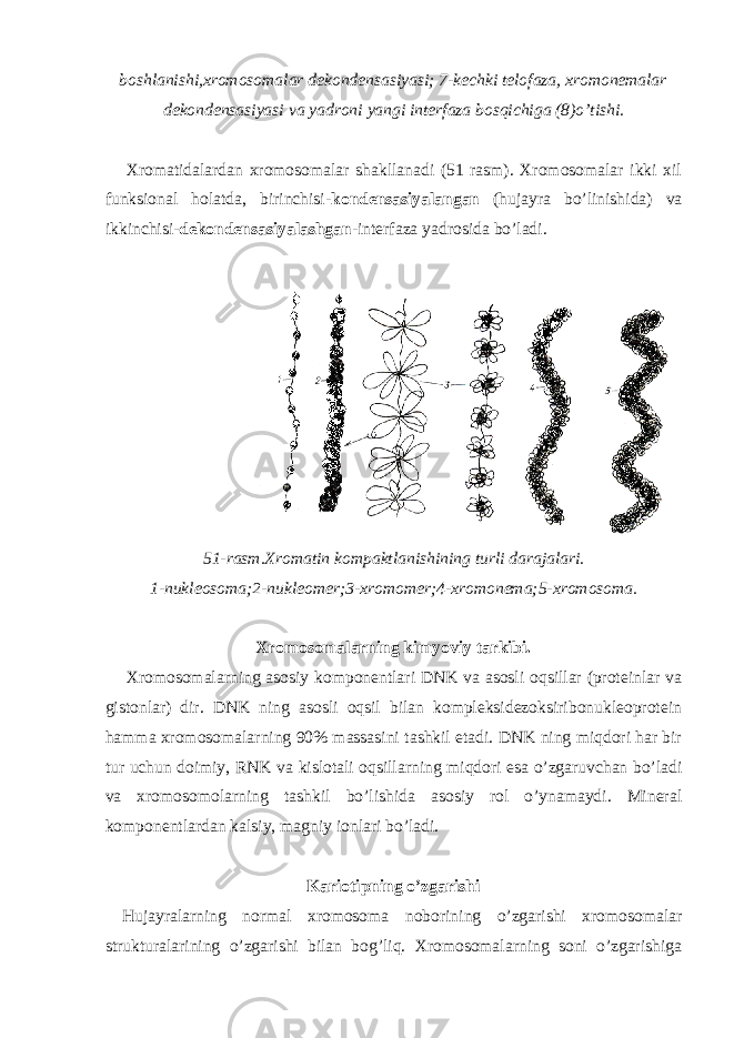 boshlanishi,xromosomalar dekondensasiyasi; 7-kechki telofaza, xromonemalar dekondensasiyasi va yadroni yangi interfaza bosqichiga (8)o’tishi. Xromatidalardan xromosomalar shakllanadi (51 rasm). Xromosomalar ikki xil funksional holatda, birinchisi- kondensasiyalangan (hujayra bo’linishida) va ikkinchisi- dekondensasiyalashgan -interfaza yadrosida bo’ladi. 51-rasm.Xromatin kompaktlanishining turli darajalari. 1-nukleosoma;2-nukleomer;3-xromomer;4-xromonema;5-xromosoma. Xromosomalarning kimyoviy tarkibi. Xromosomalarning asosiy komponentlari DNK va asosli oqsillar (proteinlar va gistonlar) dir. DNK ning asosli oqsil bilan kompleksidezoksiribonukleoprotein hamma xromosomalarning 90% massasini tashkil etadi. DNK ning miqdori har bir tur uchun doimiy, RNK va kislotali oqsillarning miqdori esa o’zgaruvchan bo’ladi va xromosomolarning tashkil bo’lishida asosiy rol o’ynamaydi. Mineral komponentlardan kalsiy, magniy ionlari bo’ladi. Kariotipning o’zgarishi Hujayralarning normal xromosoma noborining o’zgarishi xromosomalar strukturalarining o’zgarishi bilan bog’liq. Xromosomalarning soni o’zgarishiga 