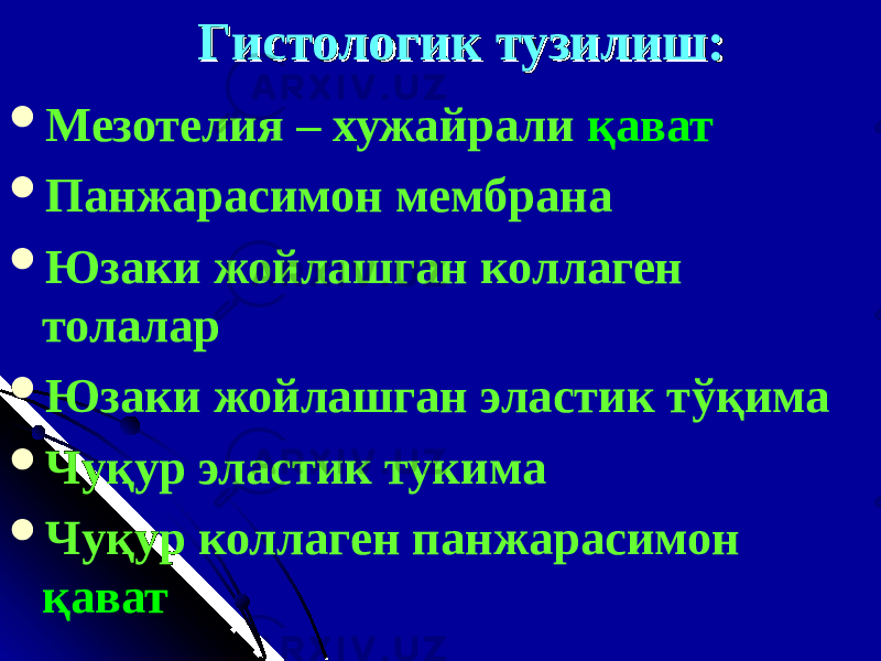 ГГ истологик истологик тузилиштузилиш ::  Мезотелия – хужайрали қ ават  Панжарасимон мембрана  Юзаки жойлашган коллаген толалар  Юзаки жойлашган эластик т ўқ има  Чуқур эластик тукима  Чуқур коллаген п анжарасимон қ ават 