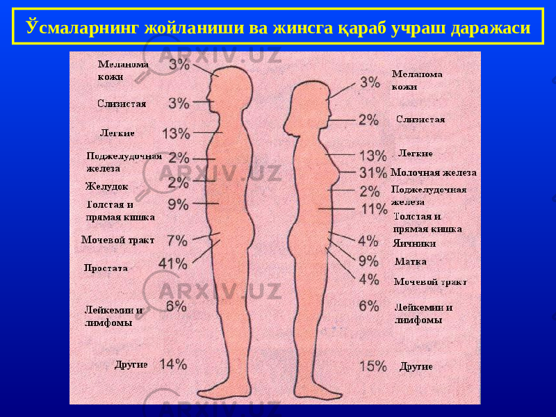 Ўсмаларнинг жойланиши ва жинсга қараб учраш даражаси 