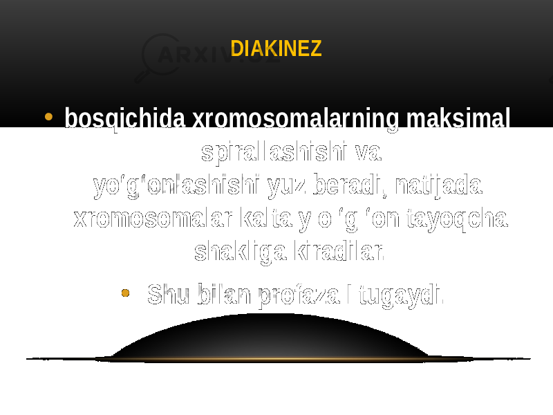 DIAKINEZ • bosqichida xromosomalarning maksimal spirallashishi va yo‘g‘onlashishi yuz beradi, natijada xromosomalar kalta y o ‘g ‘on tayoqcha shakliga kiradilar. • Shu bilan profaza I tugaydi. 