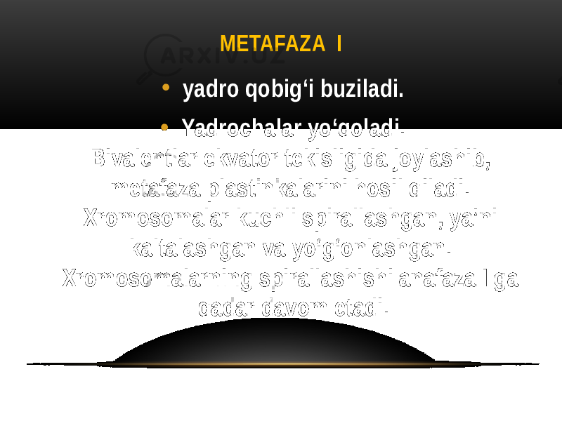 METAFAZA I • yadro qobig‘i buziladi. • Yadrochalar yo‘qoladi. Bivalentlar ekvator tekisligida joylashib, metafaza plastinkalarini hosil qiladi. Xromosomalar kuchli spirallashgan, ya’ni kaltalashgan va yo‘g‘onlashgan. Xromosomalarning spirallashishi anafaza I ga qadar davom etadi. 