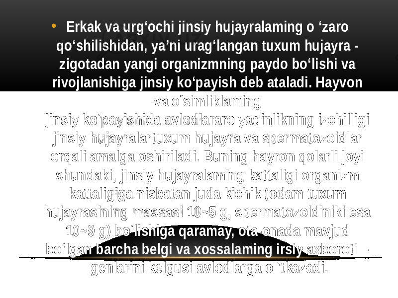 • Erkak va urg‘ochi jinsiy hujayralaming o ‘zaro qo‘shilishidan, ya’ni urag‘langan tuxum hujayra - zigotadan yangi organizmning paydo bo‘lishi va rivojlanishiga jinsiy ko‘payish deb ataladi. Hayvon va o&#39;simliklaming jinsiy ko‘payishida avlodlararo yaqinlikning izchilligi jinsiy hujayralartuxum hujayra va spermatozoidlar orqali amalga oshiriladi. Buning hayron qolarli joyi shundaki, jinsiy hujayralaming kattaligi organizm kattaligiga nisbatan juda kichik (odam tuxum hujayrasining massasi 10~5 g, spermatozoidiniki esa 10~9 g) bo‘lishiga qaramay, ota-onada mavjud bo‘lgan barcha belgi va xossalaming irsiy axboroti – genlarini kelgusi avlodlarga o ‘tkazadi. 