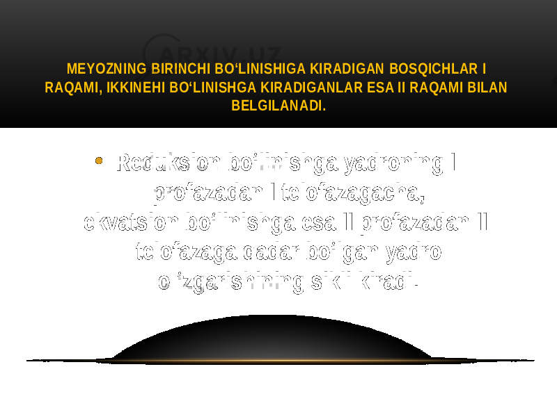 MEYOZNING BIRINCHI BO‘LINISHIGA KIRADIGAN BOSQICHLAR I RAQAMI, IKKINEHI BO‘LINISHGA KIRADIGANLAR ESA II RAQAMI BILAN BELGILANADI. • Reduksion bo‘linishga yadroning I profazadan I telofazagacha, ekvatsion bo‘linishga esa II profazadan II telofazaga qadar bo‘lgan yadro o ‘zgarishining sikli kiradi. 