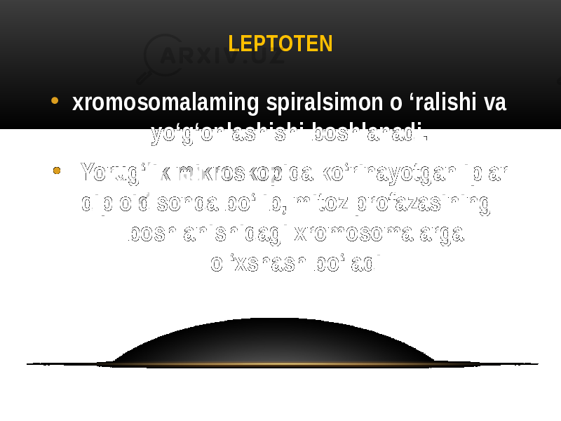 LEPTOTEN • xromosomalaming spiralsimon o ‘ralishi va yo‘g‘onlashishi boshlanadi. • Yorug‘lik mikroskopida ko‘rinayotgan iplar diploid sonda bo‘lib, mitoz profazasining boshlanishidagi xromosomalarga o ‘xshash bo‘ladi 